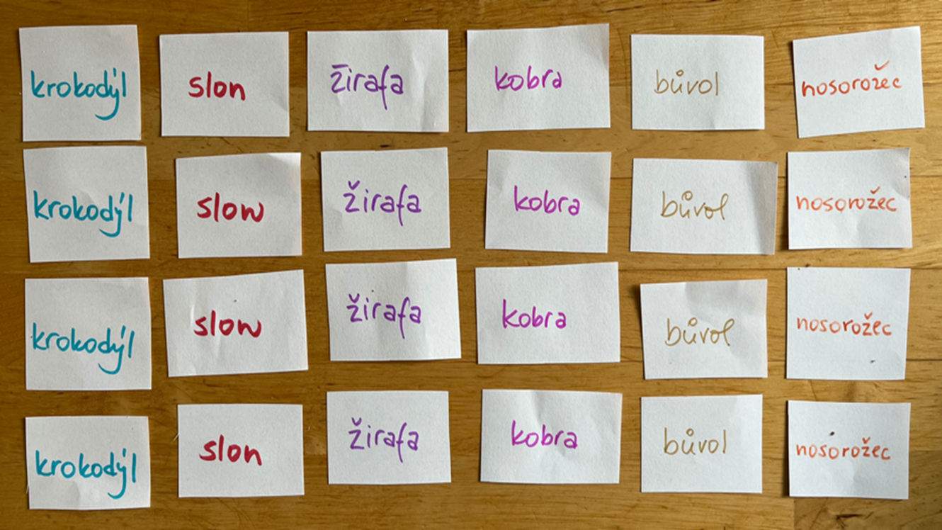 V E O SKUPIN SOB visual data 5